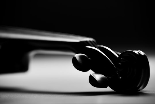 electronic violin on a black background
