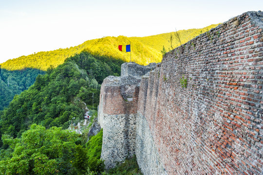 The Poenari Fortress.