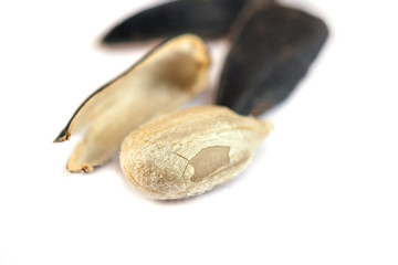 Sunflower seed open on white background, close up