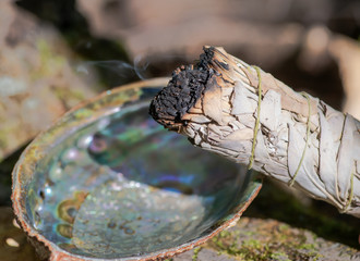 Smudging ritual using burning thick leafy bundle of white sage in bright polished rainbow abalone shell in forest preserve. 