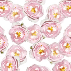 Beautiful floral background of wild rose 