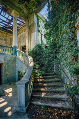 Ruined mansion interior overgrown by plants Overgrown by ivy spiral staircase and column. Nature and abandoned architecture, green post-apocalyptic concept