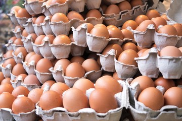 Pile of organic fresh and raw hen chicken eggs for sale in the tray market agriculture farm.High...
