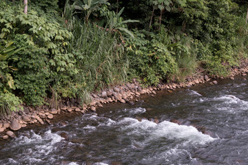 Naklejka na ściany i meble Sarapiqui river touristic attraction in the atlantic zone of Costa Rica