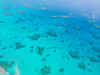 Fototapeta na wymiar Diving at the Great Barrier Reef Australia Queensland