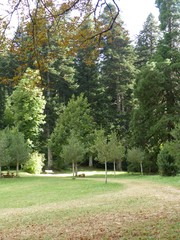 Château de Roquedols