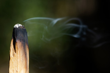 Smudging ceremony using Peruvian Palo Santo holy wood incense stick in forest preserve.