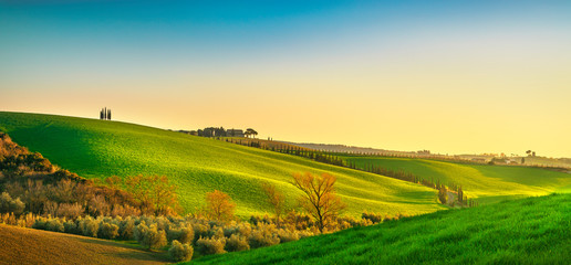 Maremma countryside at sunset. Bibbona, Tuscany, Italy.