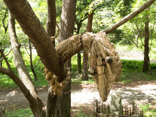 佐倉市井野　辻きり