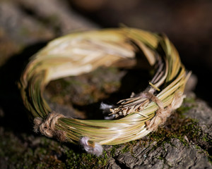 Wildcrafted dried Sweetgrass (Hierochloe odorata) wrapped in organic cotton string. On tree bark in forest preserve. Smudging ritual.
