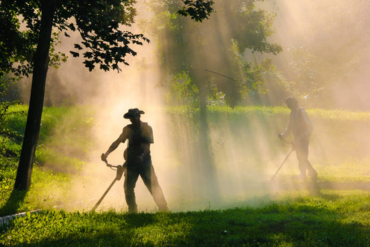 People cutting grass with brush cutter outdoor
