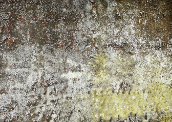 Real, nature color background of old painting wall