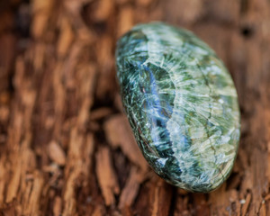 Green polished Seraphinite specimen  from Eastern Siberia in Russia on fibrous tree bark in the forest. Gem quality clinochlore of the chlorite group. 