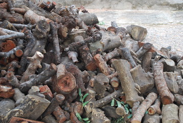 Pile of Rustic Wood Logs