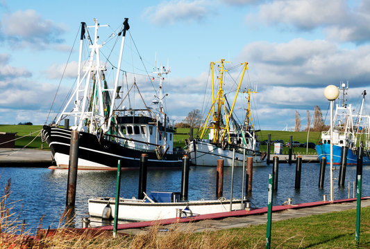 Krabbenkutter liegen im Kutterhafen an der Nordseeküste, Küstenfischerei in Norddeutschland