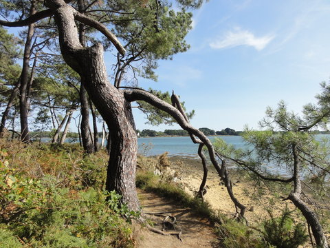 Ria d'Etel en Bretagne, France en ao&ucirc;t