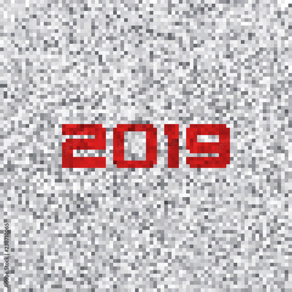 Poster 2019 on a white noise. Vector graphics