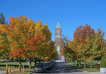 college campus with row of oak trees in fall colors
