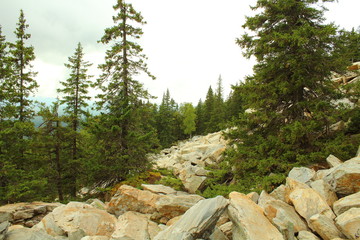 Ural mountains. Ridge Zyuratkul. Background. Landscape.