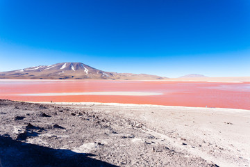 Laguna Colorada view, Bolivia