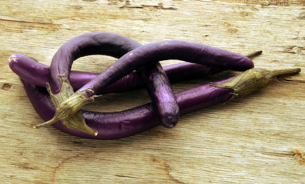 Solanum melongena Melanzana perlina Eggplant berenjena 