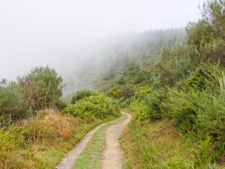 Fototapeta na wymiar First steps on the Camino in Galicia in the morning fog - O`Cebreiro, Galicia, Spain