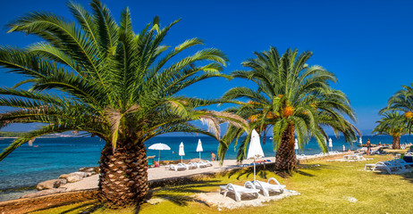 Seaside promenade on Brac island with palm trees and turquoise clear ocean water, Supetar, Brac, Croatia