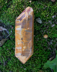 Large saturated double terminated lithium quartz point from Brazil on green moss in the forest preserve.