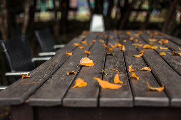 Yellow leaves on a wooden table