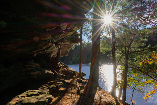 Rays of sunlight shining through pine trees