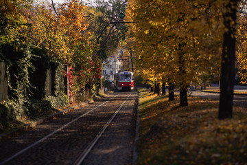 Autumn in Prague