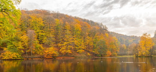Skaralid is a national park in southern Sweden photographed in the fall when it is very colorful