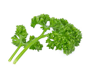 parsley on white background