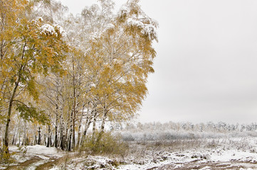 the first snow in the autumn grove. mellow autumn