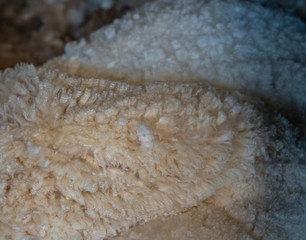 Fleece