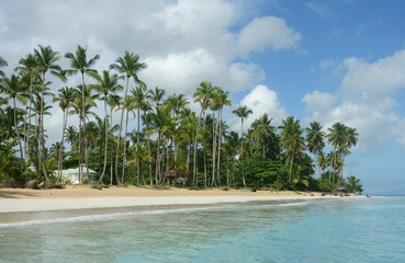 Beautiful natural beach, Samana, Dominican Republic
