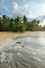 Beautiful natural beach, Samana, Dominican Republic