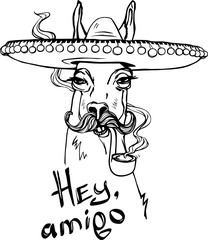 The stylized image of brutal lama with mustache, sombrero and tobacco pipe. Hand drawn vector illustration © Natamura