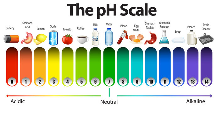 A pH scale on white background