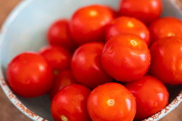 Campari Tomatoes