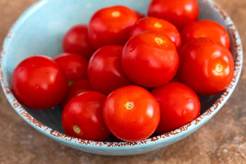 Campari Tomatoes