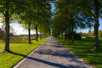 Diminishing perspective view of street and range of tree at Nordstern park in Gelsenkirchen, Germany.