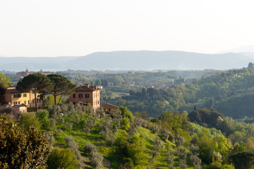 Fototapeta na wymiar Village in the Tuscan countryside as seen from Siena, Italy, located in Tuscany with an olive grove in the foreground and cypress trees in the background