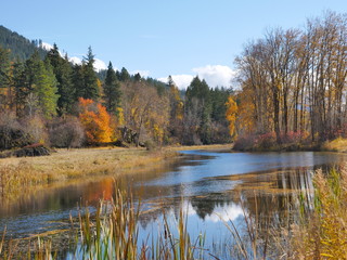 Beautiful Autumn scenes from Creston,British Columbia