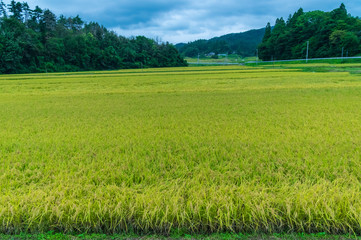 岩手県花巻市の町並み