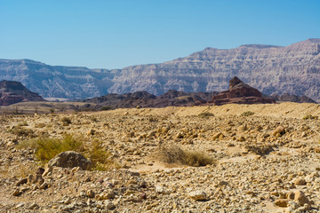 Stones of desert