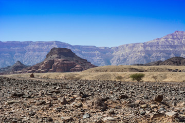 Infinite fantasy of the Middle East.