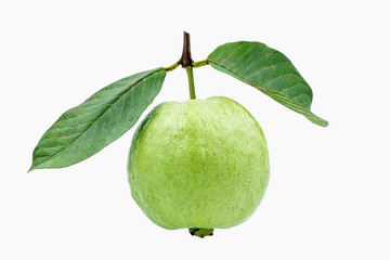 Guava fruit isolated on white background