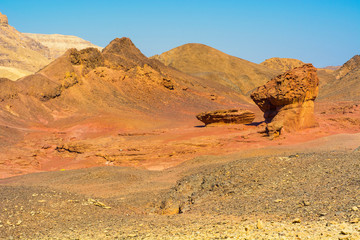 Fototapeta premium Whimsical Patterns of the Desert