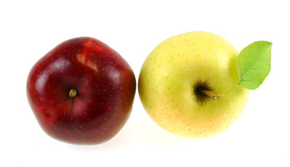 close up on red delicious and golden delicious apples isolated on white background